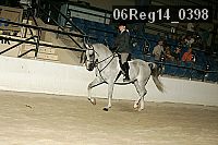 06reg14_0398 proof