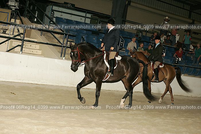 Proof 06reg14_0399