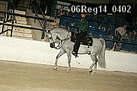 06reg14_0402 proof