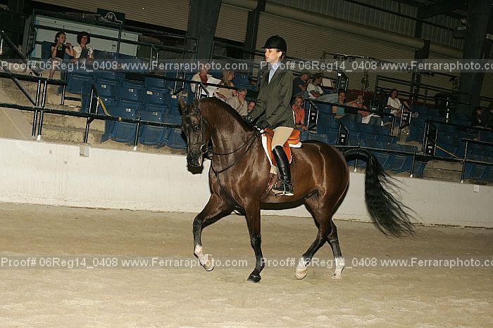 Proof 06reg14_0408