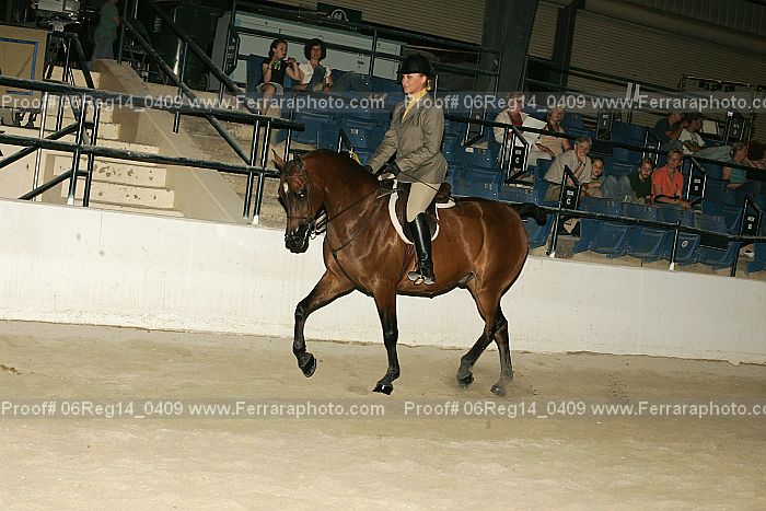 Proof 06reg14_0409