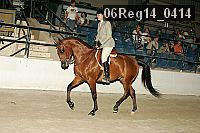 06reg14_0414 proof