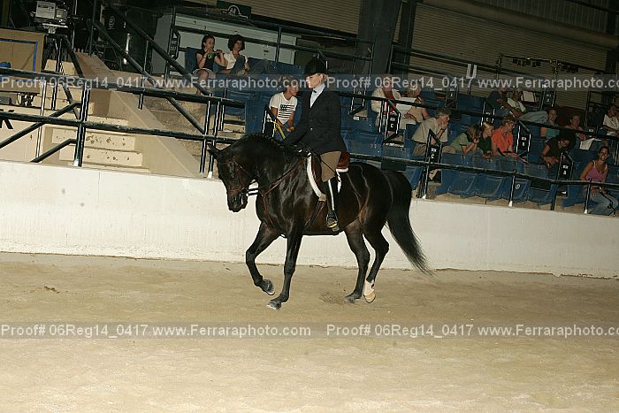 Proof 06reg14_0417