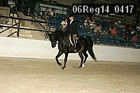 06reg14_0417 proof