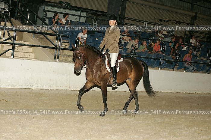 Proof 06reg14_0418