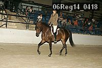 06reg14_0418 proof