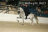06reg14_0423 proof