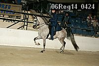 06reg14_0424 proof