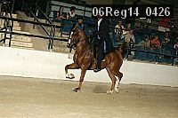 06reg14_0426 proof