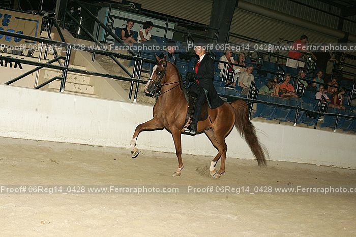 Proof 06reg14_0428