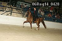 06reg14_0428 proof