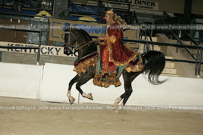 Proof 06reg14_0436