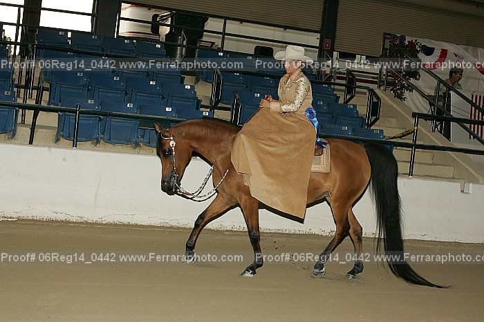 Proof 06reg14_0442
