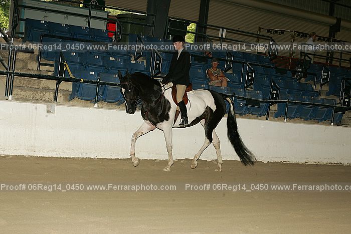 Proof 06reg14_0450