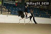 06reg14_0450 proof