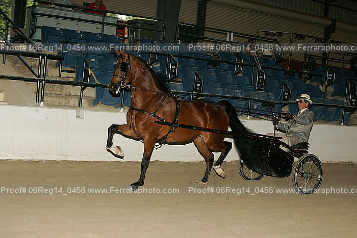 Proof 06reg14_0456