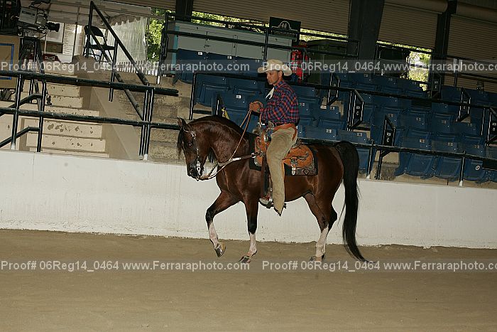 Proof 06reg14_0464
