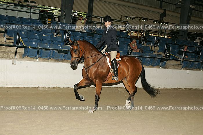 Proof 06reg14_0468