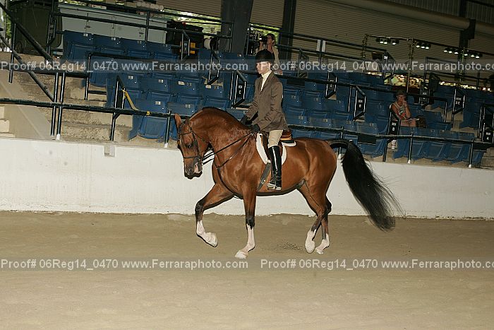 Proof 06reg14_0470