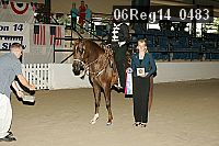 06reg14_0483 proof