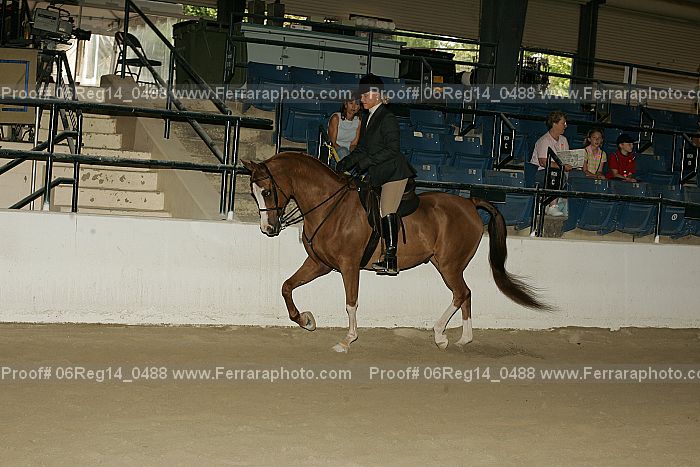 Proof 06reg14_0488