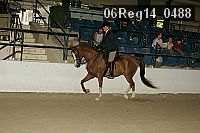 06reg14_0488 proof