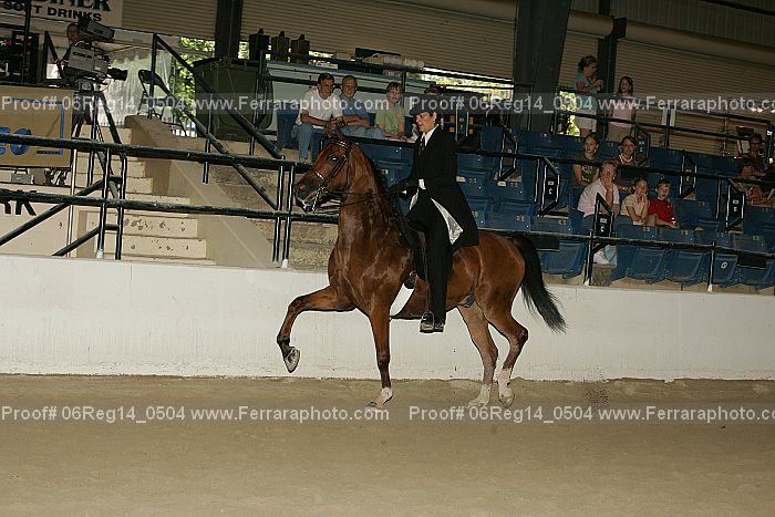 Proof 06reg14_0504