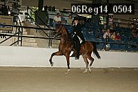 06reg14_0504 proof