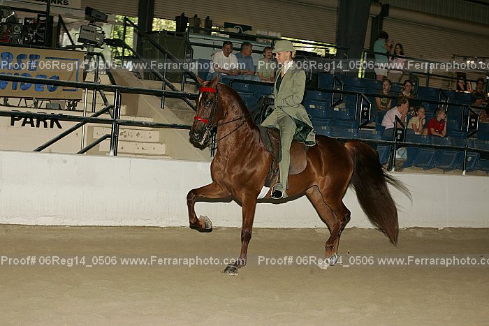 Proof 06reg14_0506