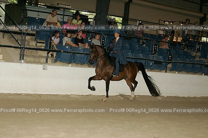 Proof 06reg14_0526