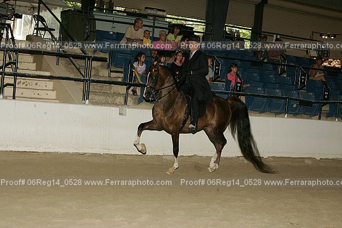 Proof 06reg14_0528