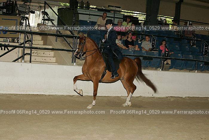 Proof 06reg14_0529