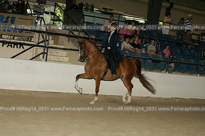 Proof 06reg14_0531