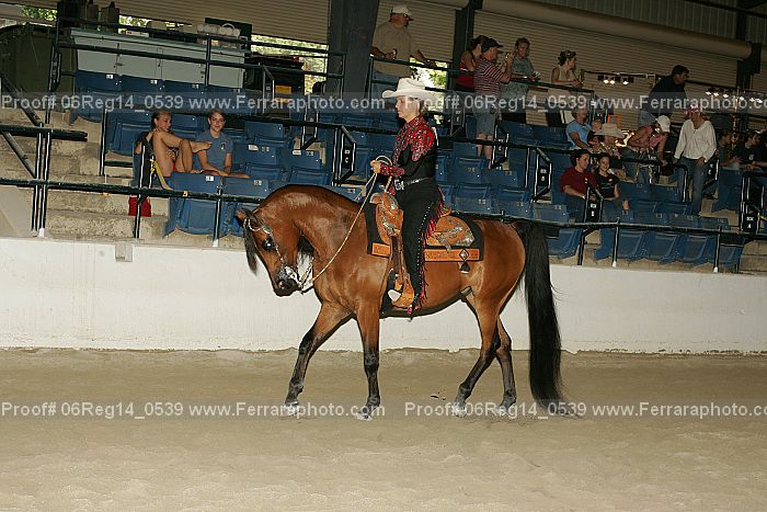 Proof 06reg14_0539