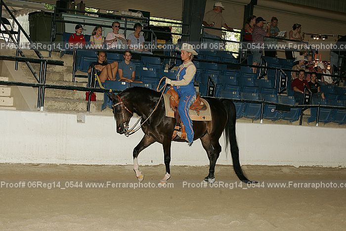 Proof 06reg14_0544