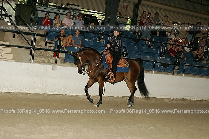 Proof 06reg14_0546