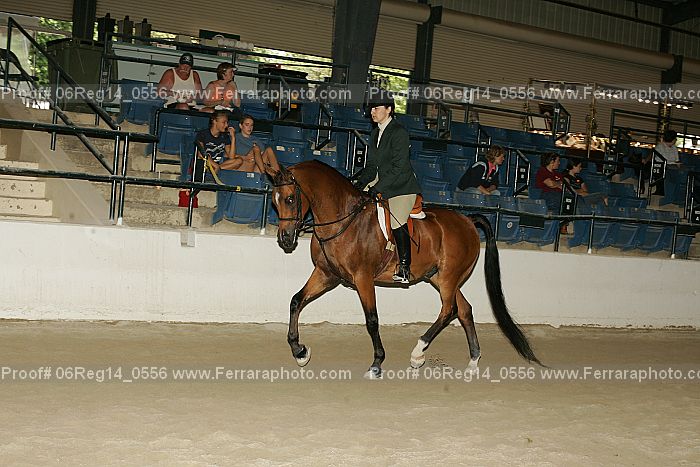 Proof 06reg14_0556