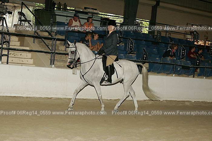 Proof 06reg14_0559