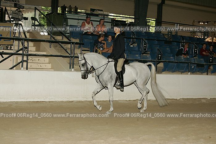 Proof 06reg14_0560