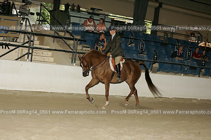 Proof 06reg14_0561