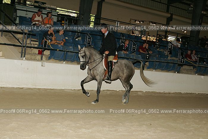 Proof 06reg14_0562
