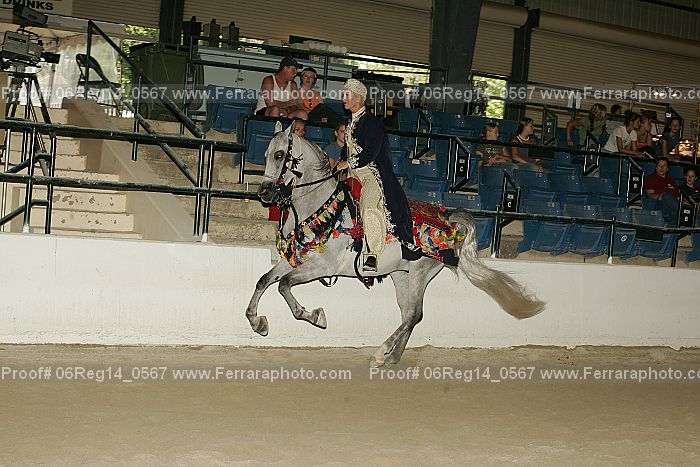 Proof 06reg14_0567