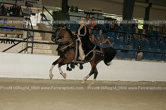 Proof 06reg14_0569
