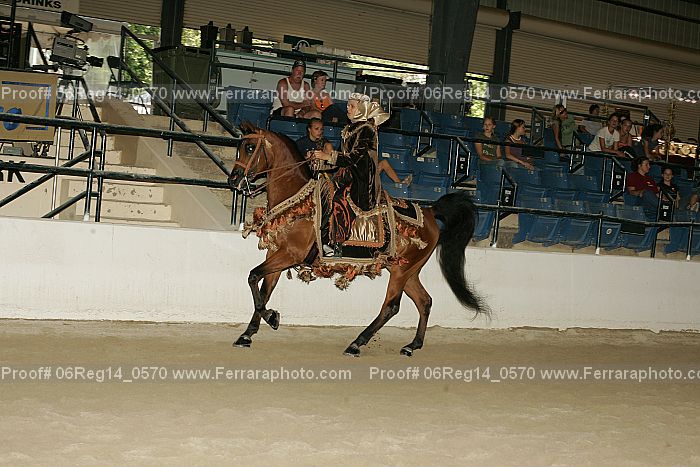 Proof 06reg14_0570