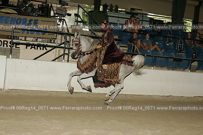 Proof 06reg14_0571