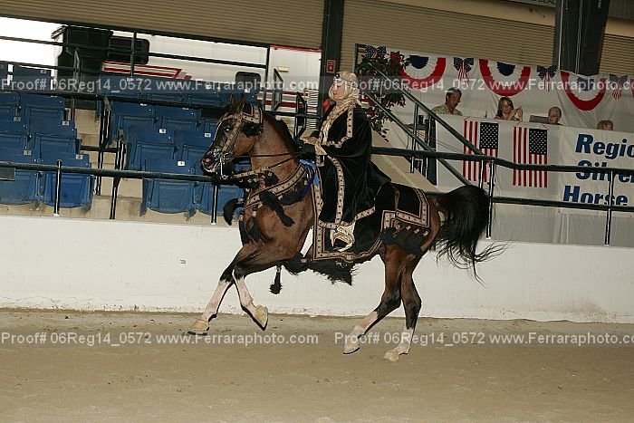 Proof 06reg14_0572