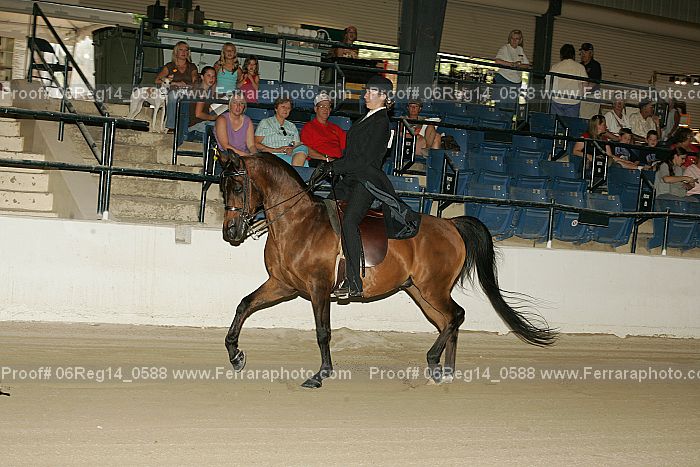 Proof 06reg14_0588