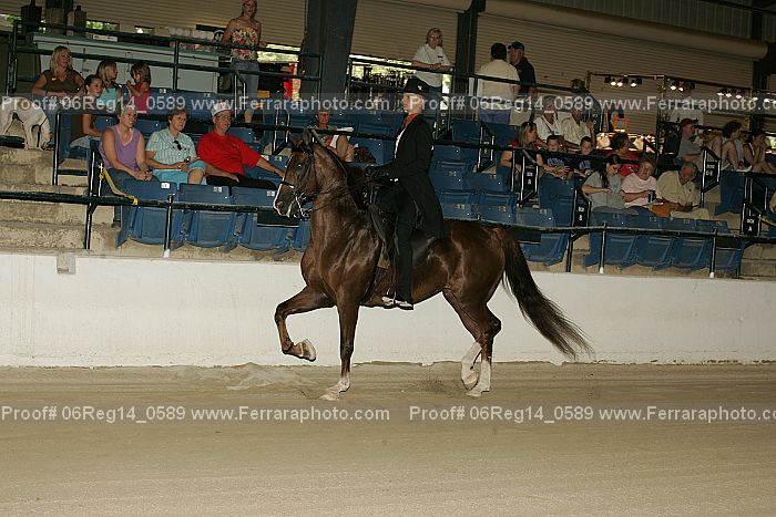 Proof 06reg14_0589