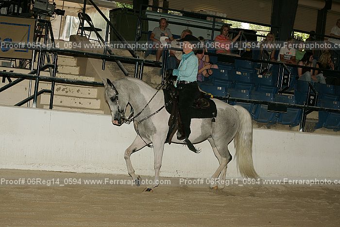 Proof 06reg14_0594