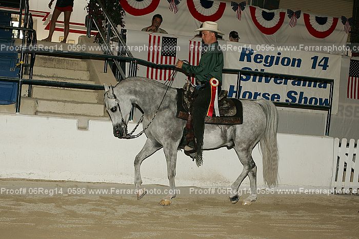 Proof 06reg14_0596